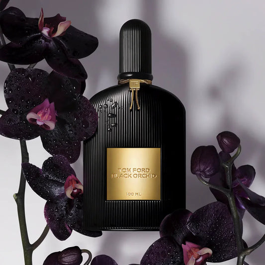 BLACK ORCHID
